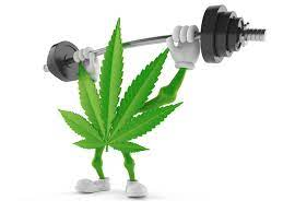 ilustración de hoja de marihuana levantando pesas
